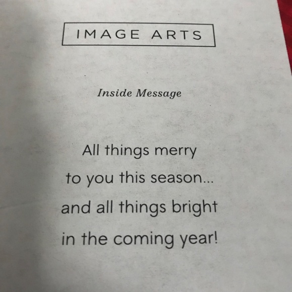 NEW 30 PACK Image Arts Christmas Cards Cardinal Wreath Envelope Holiday - Picture 2 of 2